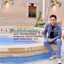آهنگ جدید سعید میرباقری به نام حس غریب